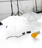 1 Elinchrom Translucent Umbrella